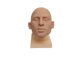 Силиконовая тренировочная голова для реставрации воском Cosmetic Head, производитель Dodge, профессиональные средства для реставрации и посмертного ухода за телом от компании TanatoService