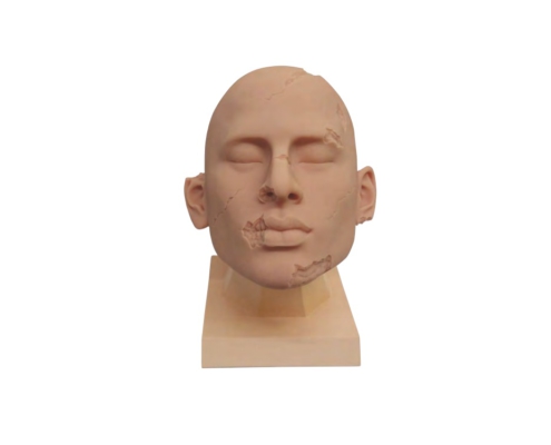 Силиконовая тренировочная голова для реставрации воском Cosmetic Head, производитель Dodge, профессиональные средства для реставрации и посмертного ухода за телом от компании TanatoService