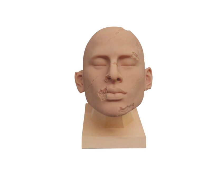 Силиконовая тренировочная голова для реставрации воском Cosmetic Head, производитель Dodge, профессиональные средства для реставрации и посмертного ухода за телом от компании TanatoService