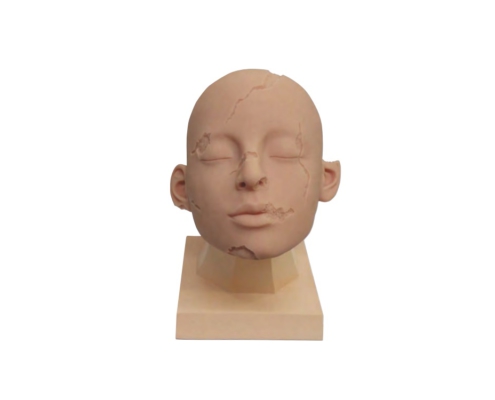 Силиконовая тренировочная голова для реставрации воском Cosmetic Head, производитель Dodge, профессиональные средства для реставрации и посмертного ухода за телом от компании TanatoService