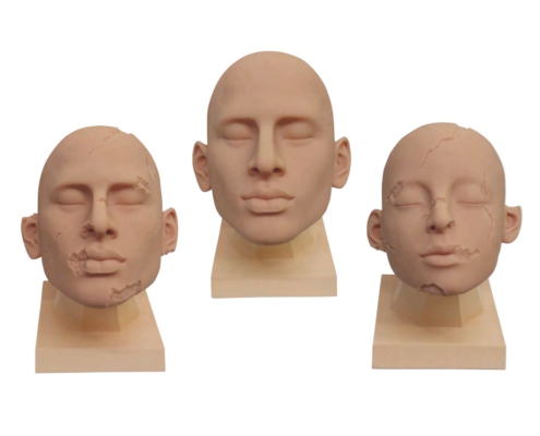 Силиконовая тренировочная голова для реставрации воском Cosmetic Head, производитель Dodge, профессиональные средства для реставрации и посмертного ухода за телом от компании TanatoService